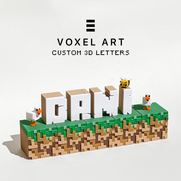 Custom 3D Letters – Voxel Art Style